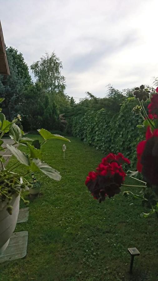 דירות Balatonfůzfő Liliana Vendeghaz מראה חיצוני תמונה